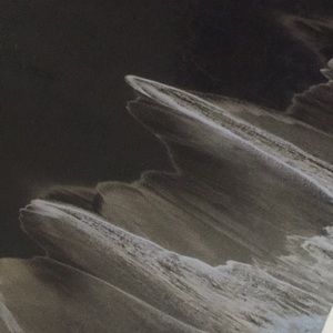 Meet your Posher, Mimi